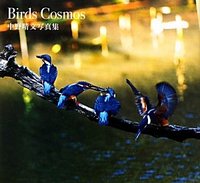Birds Cosmos